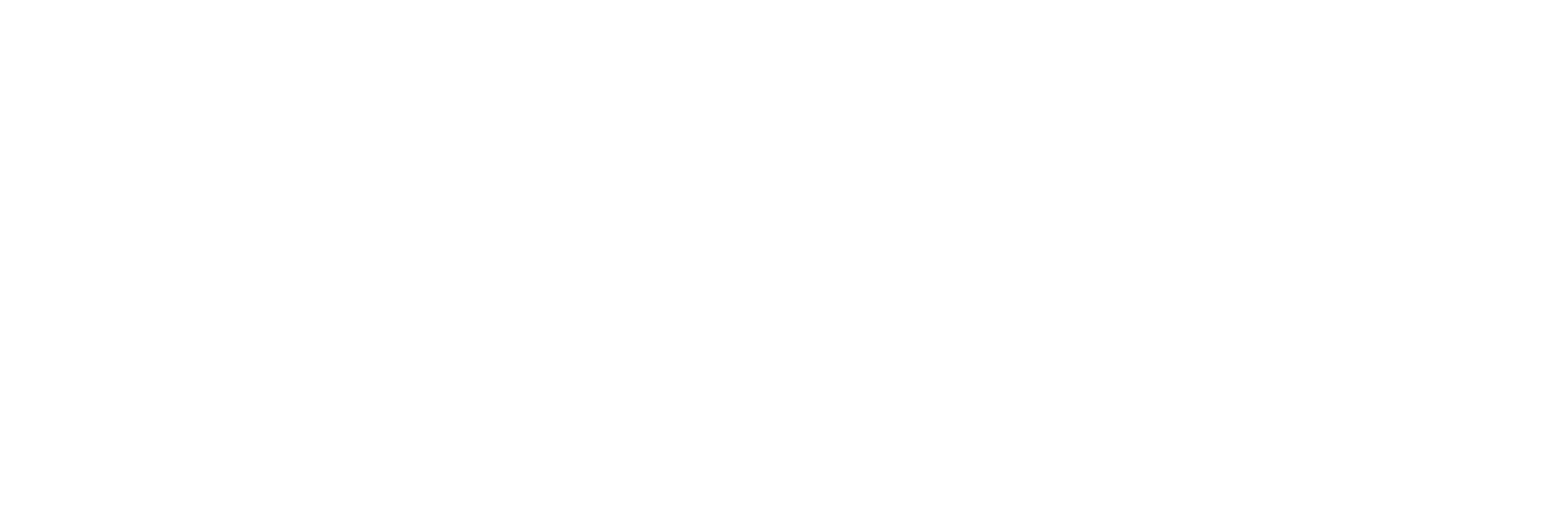 CynLr Logo